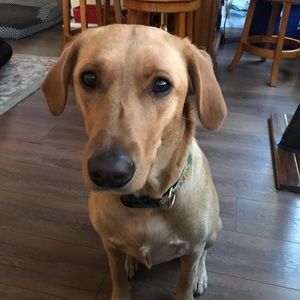 Meet your Posher, Deborah